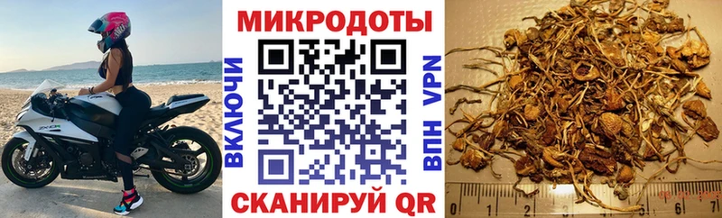 что такое   Чердынь  Псилоцибиновые грибы Magic Shrooms 