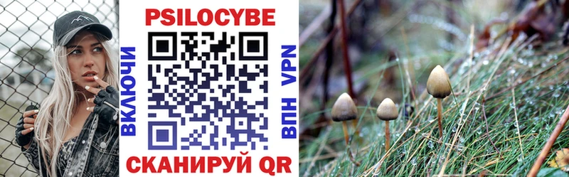 Псилоцибиновые грибы мухоморы Чердынь